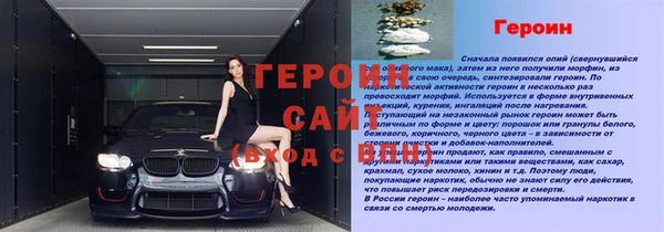 PSILOCYBIN Вяземский