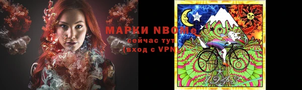 PSILOCYBIN Вяземский