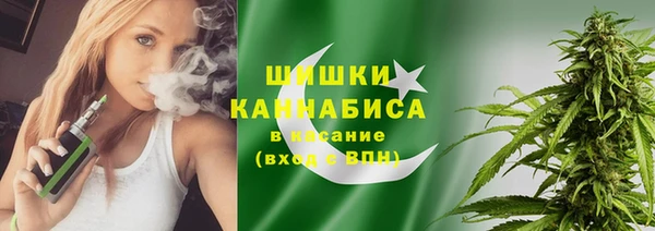 дживик Вязьма