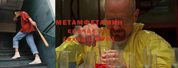 PSILOCYBIN Вяземский