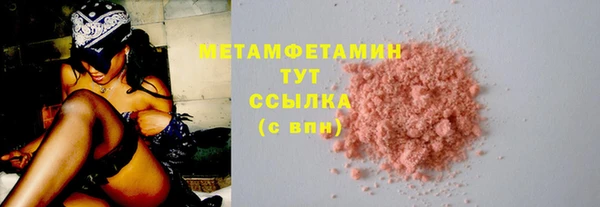 PSILOCYBIN Вяземский