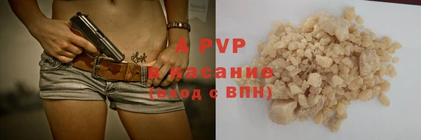 PSILOCYBIN Вяземский