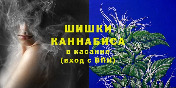 PSILOCYBIN Вяземский