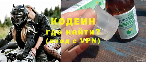дживик Вязьма