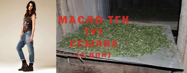 PSILOCYBIN Вяземский