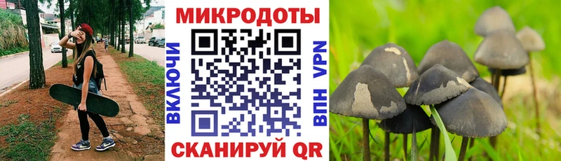 Псилоцибиновые грибы прущие грибы  Купить закладки  Каменка 